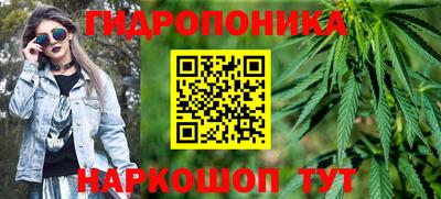 мдпв Аргун