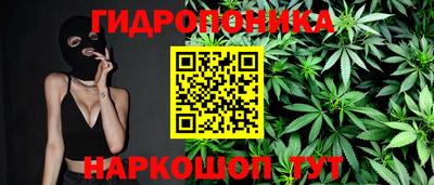 мдпв Аргун
