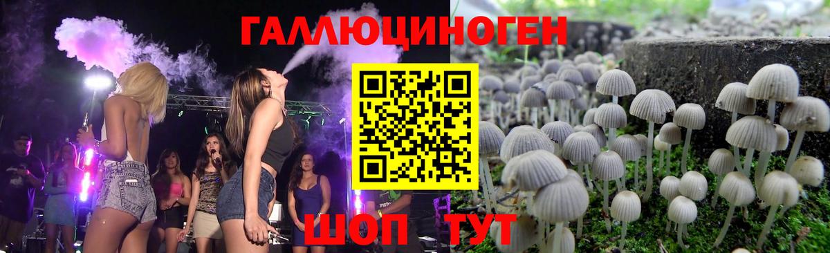 Галлюциногенные грибы Psilocybine cubensis Белореченск